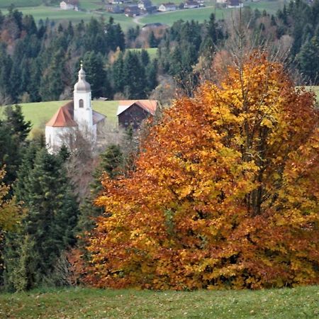 Apartament Ferien In Feld 109 Langenegg Zewnętrze zdjęcie