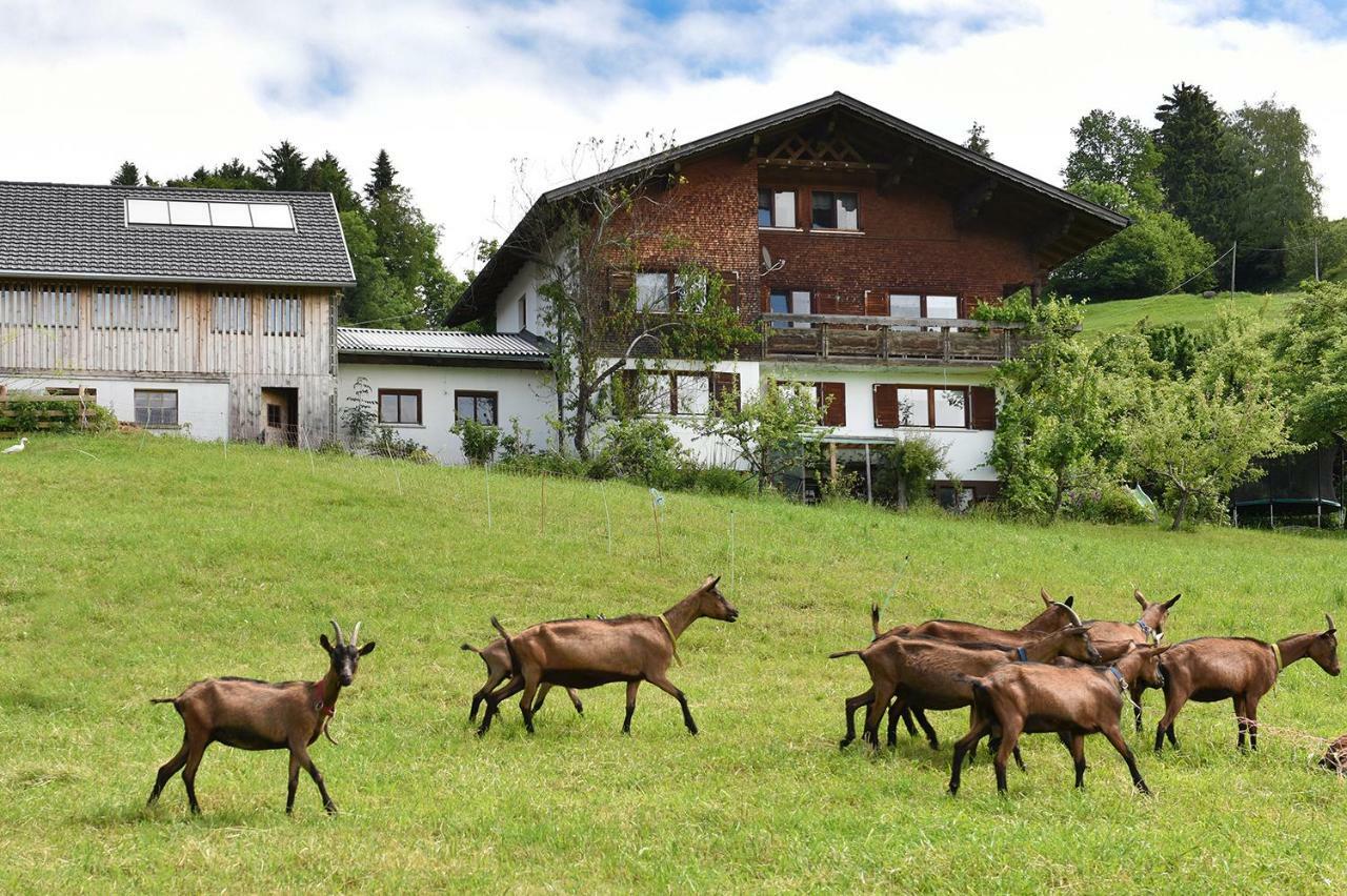 Apartament Ferien In Feld 109 Langenegg Zewnętrze zdjęcie