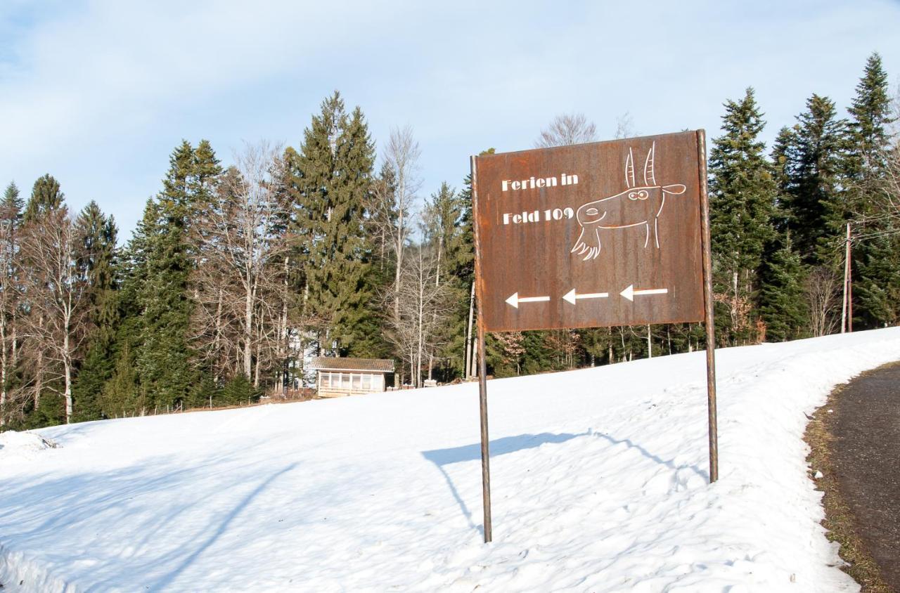 Apartament Ferien In Feld 109 Langenegg Zewnętrze zdjęcie